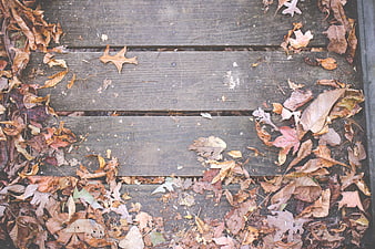 Top View of Weathered Wooden Deck with Autumn Leaves