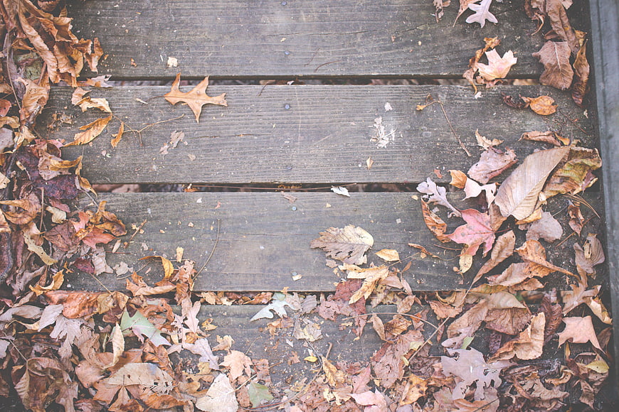 Top View of Weathered Wooden Deck with Autumn Leaves