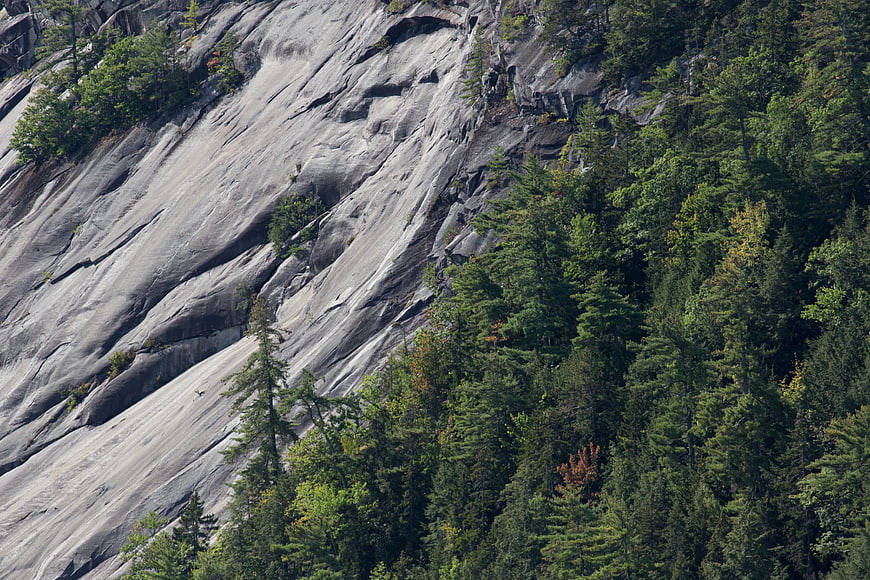 Granite rock face with pine trees on mountain slope