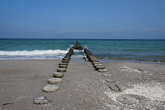 Wooden groynes on sandy beach leading into blue ocean waves