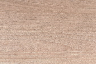 Light Oak Wood Texture Background