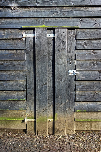 Weathered wooden shed door with metal latch and moss