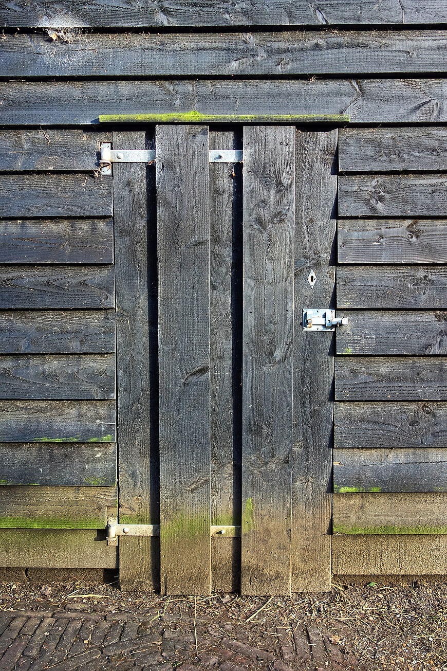 Weathered wooden shed door with metal latch and moss