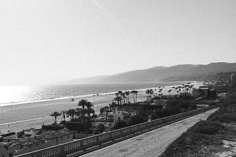 Vintage Black and White Coastal Landscape with Palm Trees