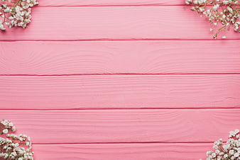 White Baby's Breath Flowers on Pink Wooden Background