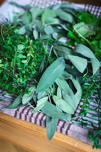 Fresh Sage, Thyme, and Mint Herbs on Kitchen Towel