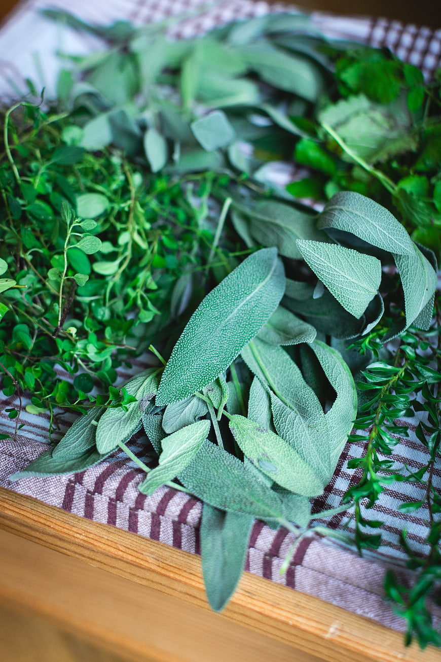 Fresh Sage, Thyme, and Mint Herbs on Kitchen Towel