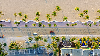 Aerial View of Tropical Beach Road with Palm Trees and Cars