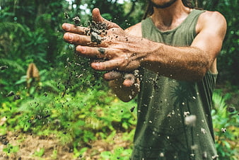 Man Clapping Soil in Hands in Lush Green Forest