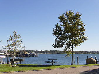 Sunny waterfront park with picnic table and boats