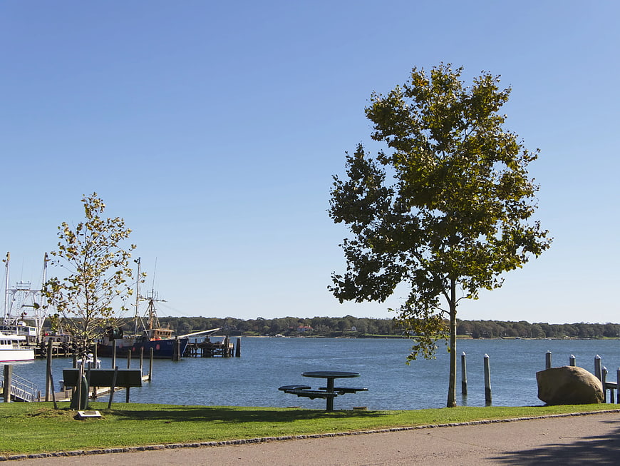 Sunny waterfront park with picnic table and boats