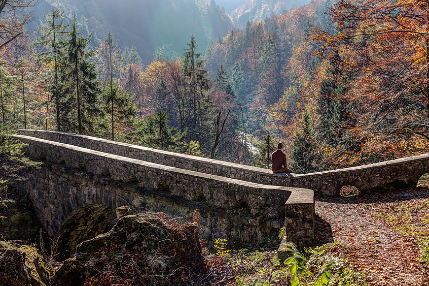 Man Sitting on Stone Bridge in Autumn Forest