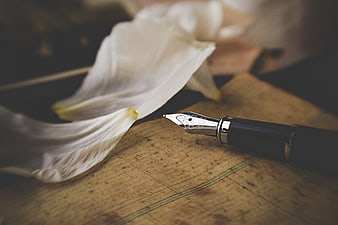 Vintage fountain pen and white flower on old paper