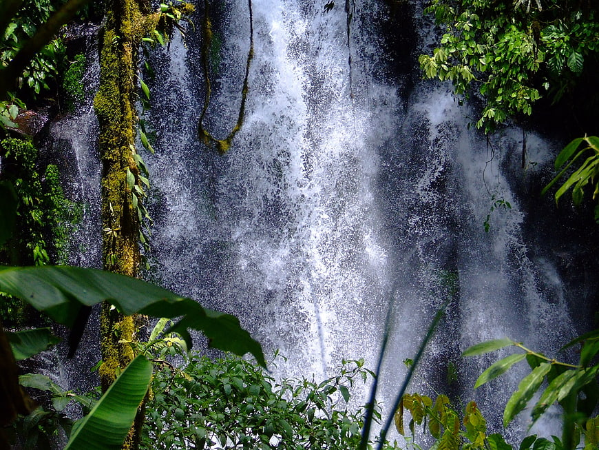 Tropical Waterfall Cascading Through Lush Green Jungle Foliage