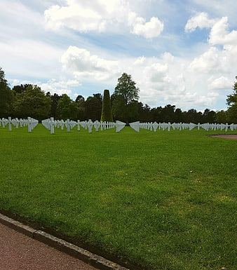 Rows of white crosses in a military cemetery on a sunny day