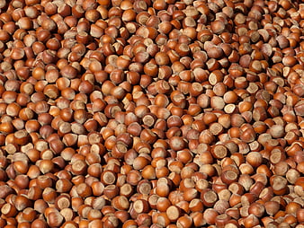 Full Frame Pattern Of Raw Hazelnuts In Brown Shells