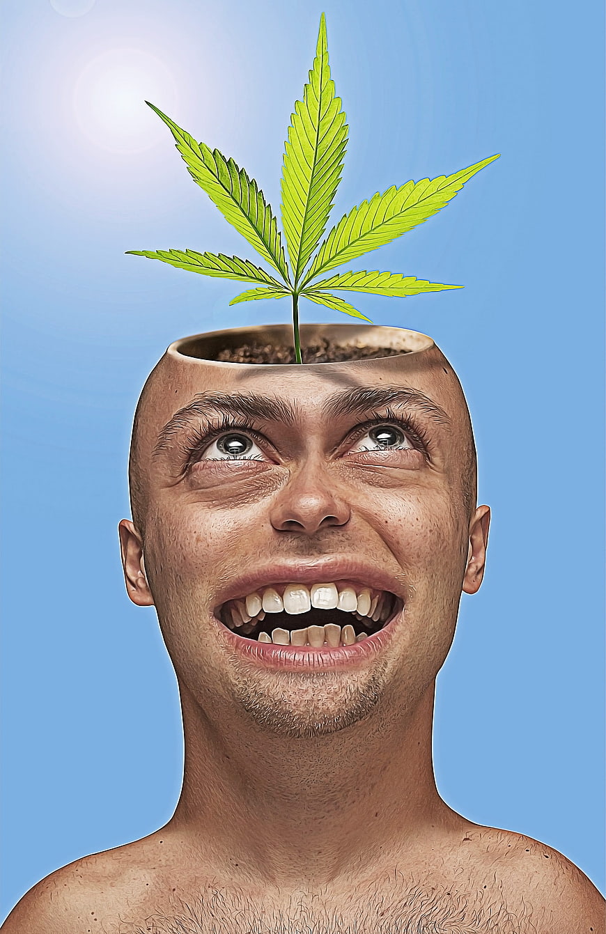 Man with cannabis plant growing from open head