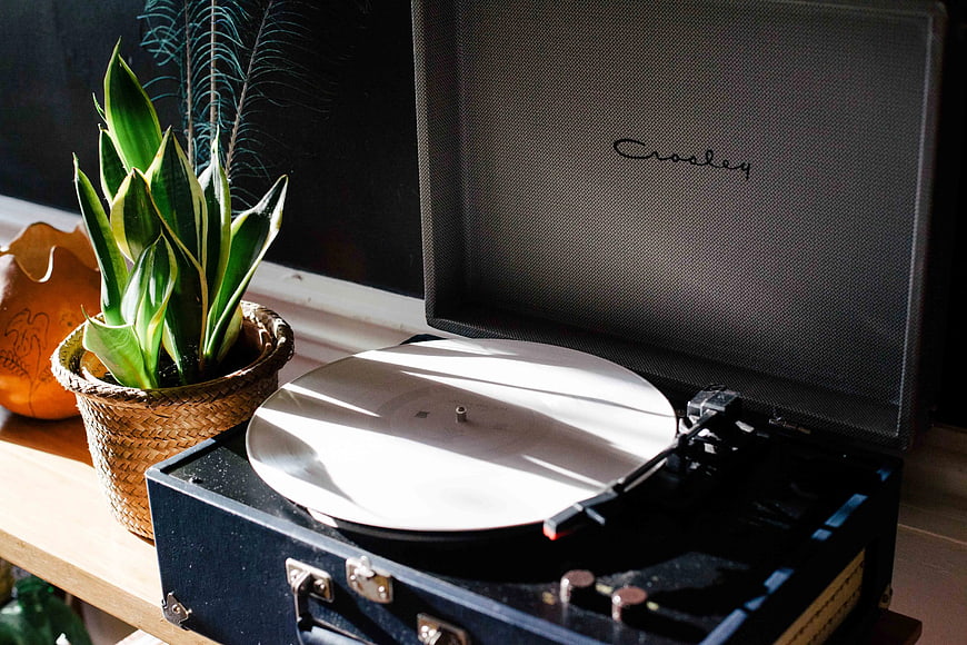 Vintage Crosley Record Player with Snake Plant in Sunlight