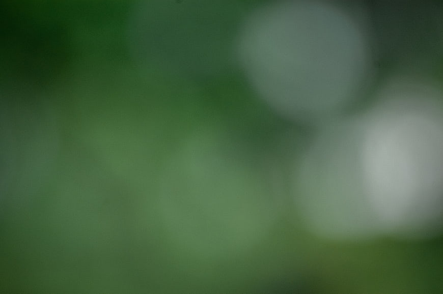 Abstract Green Bokeh Background with Soft White Light Circles