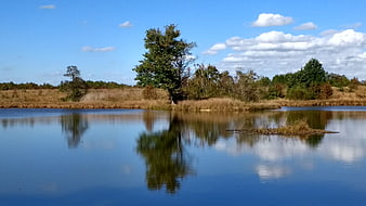 Serene Lake Landscape with Tree Reflection and Blue Sky