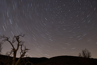 Star trails circling Polaris over silhouetted trees at night