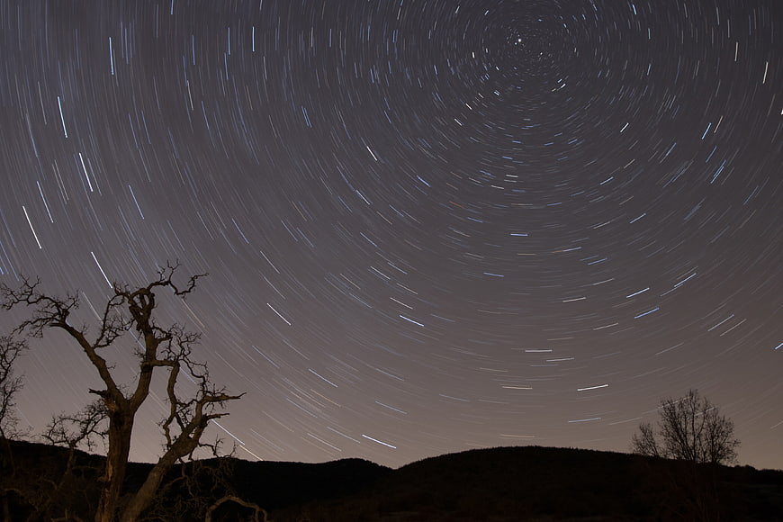 Star trails circling Polaris over silhouetted trees at night