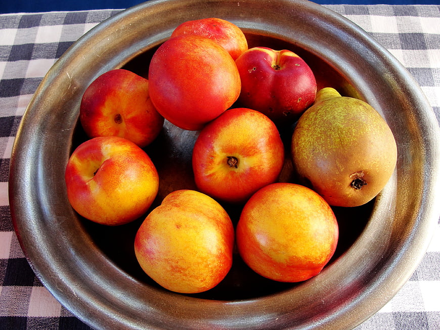 Fresh Nectarines and Pear in Rustic Ceramic Bowl
