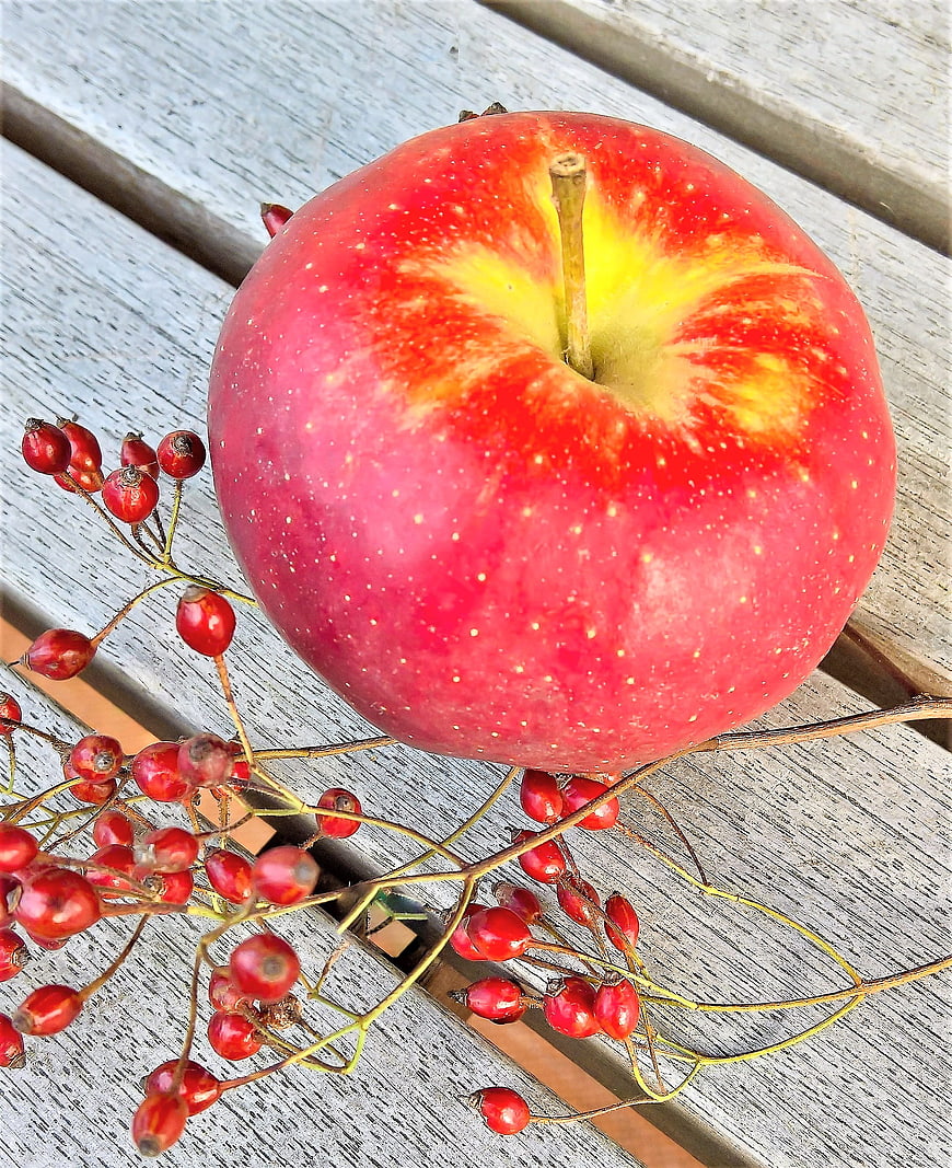 Red Apple with Rose Hips on Weathered Wooden Table