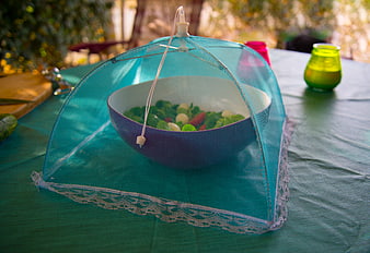 Fresh salad in bowl under blue mesh food cover outdoors