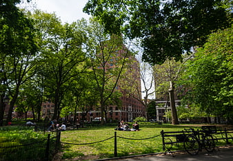 People Relaxing in Urban Park with Trees and Buildings