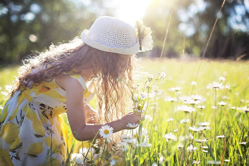 Young girl in straw hat picking daisies in a sunny summer meadow