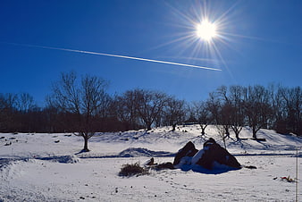 Sunny Winter Landscape with Snow, Trees, and Contrails