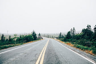 Empty asphalt road winding through foggy forest landscape