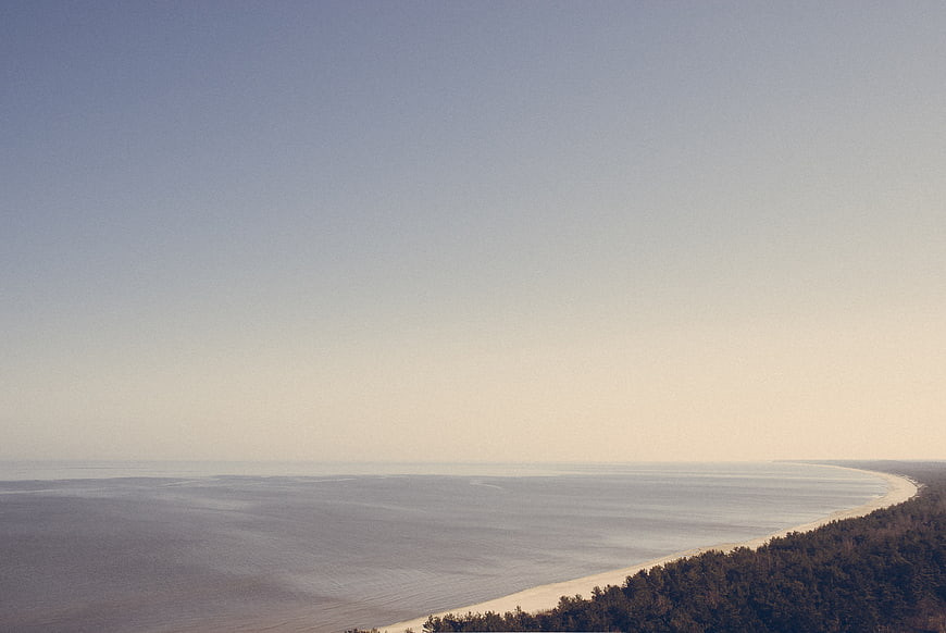 Aerial View of Serene Coastline with Forest and Ocean