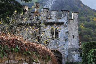 Ancient stone castle ruins with autumn foliage and forest background