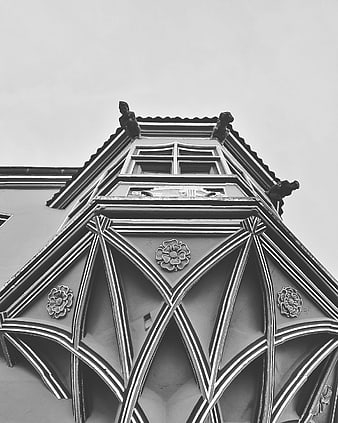 Black and white gothic architecture detail with floral ornaments