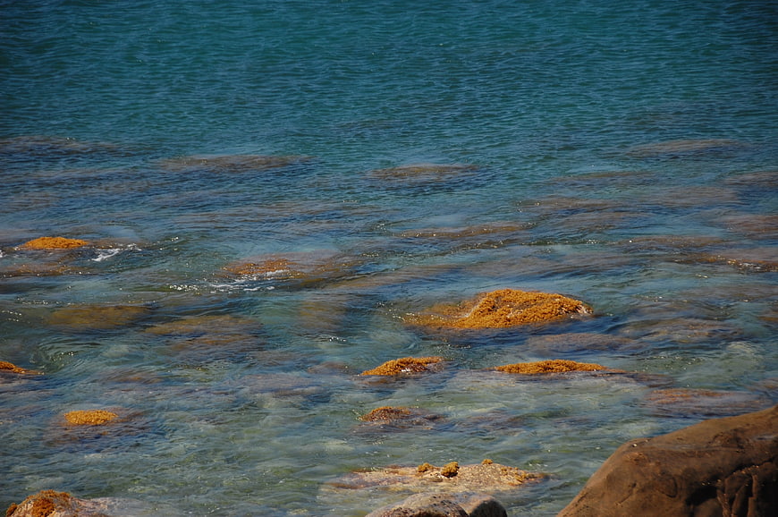 Clear turquoise ocean water over rocks and seaweed