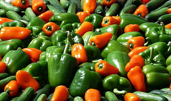 Fresh Green and Orange Bell Peppers with Cucumbers