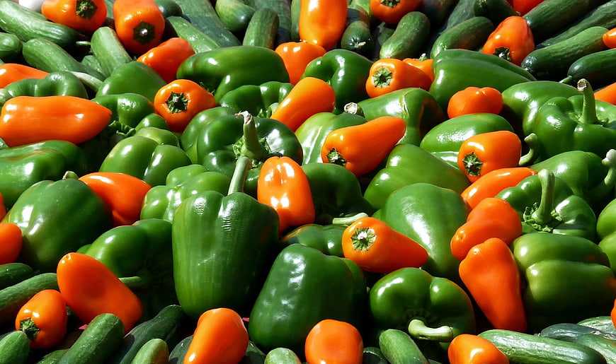 Fresh Green and Orange Bell Peppers with Cucumbers