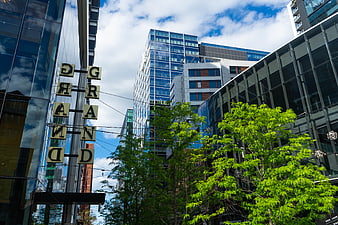 Modern Glass Office Buildings and Green Trees in Downtown City