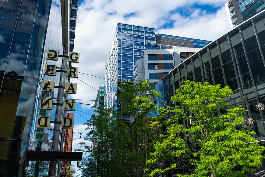 Modern Glass Office Buildings and Green Trees in Downtown City
