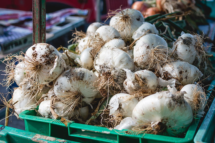 Freshly harvested garlic bulbs in green crate at market