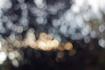 Abstract Bokeh Background with Soft Golden and White Lights