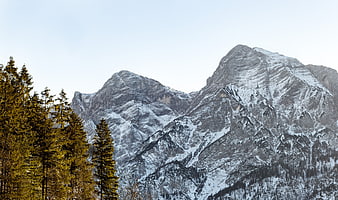 Snowy mountain peaks with golden coniferous forest foreground