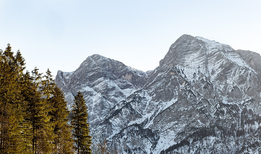 Snowy mountain peaks with golden coniferous forest foreground