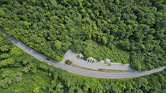 Aerial View of Winding Road Through Dense Green Forest