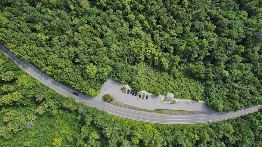 Aerial View of Winding Road Through Dense Green Forest