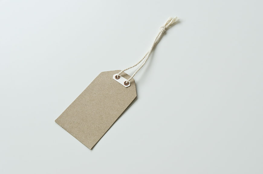 Blank Kraft Paper Price Tag With String On White Background