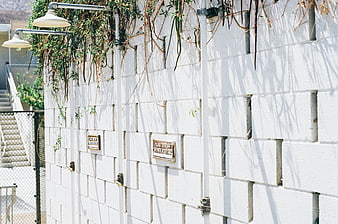 Outdoor Showers with White Brick Wall and Vines