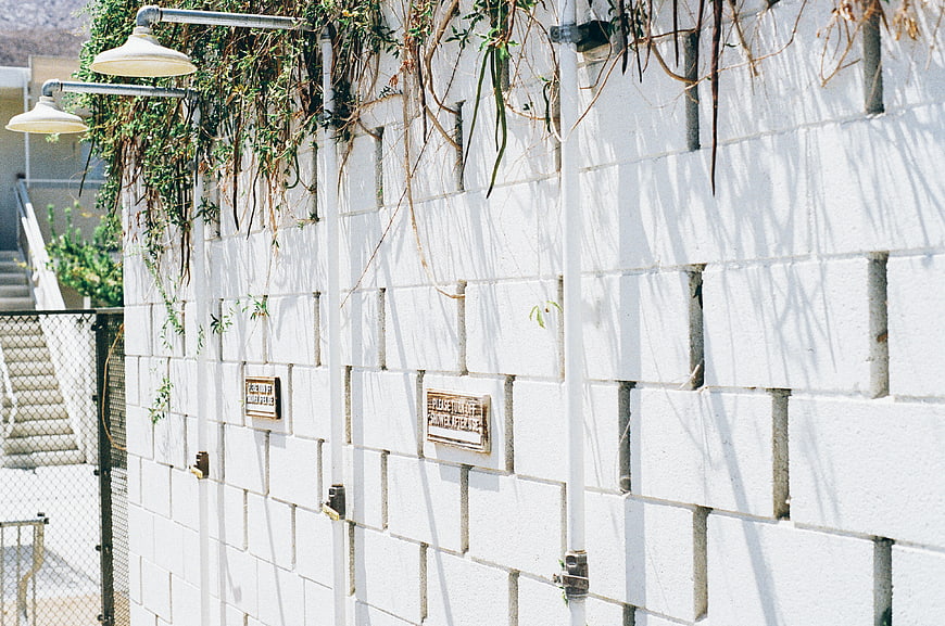 Outdoor Showers with White Brick Wall and Vines